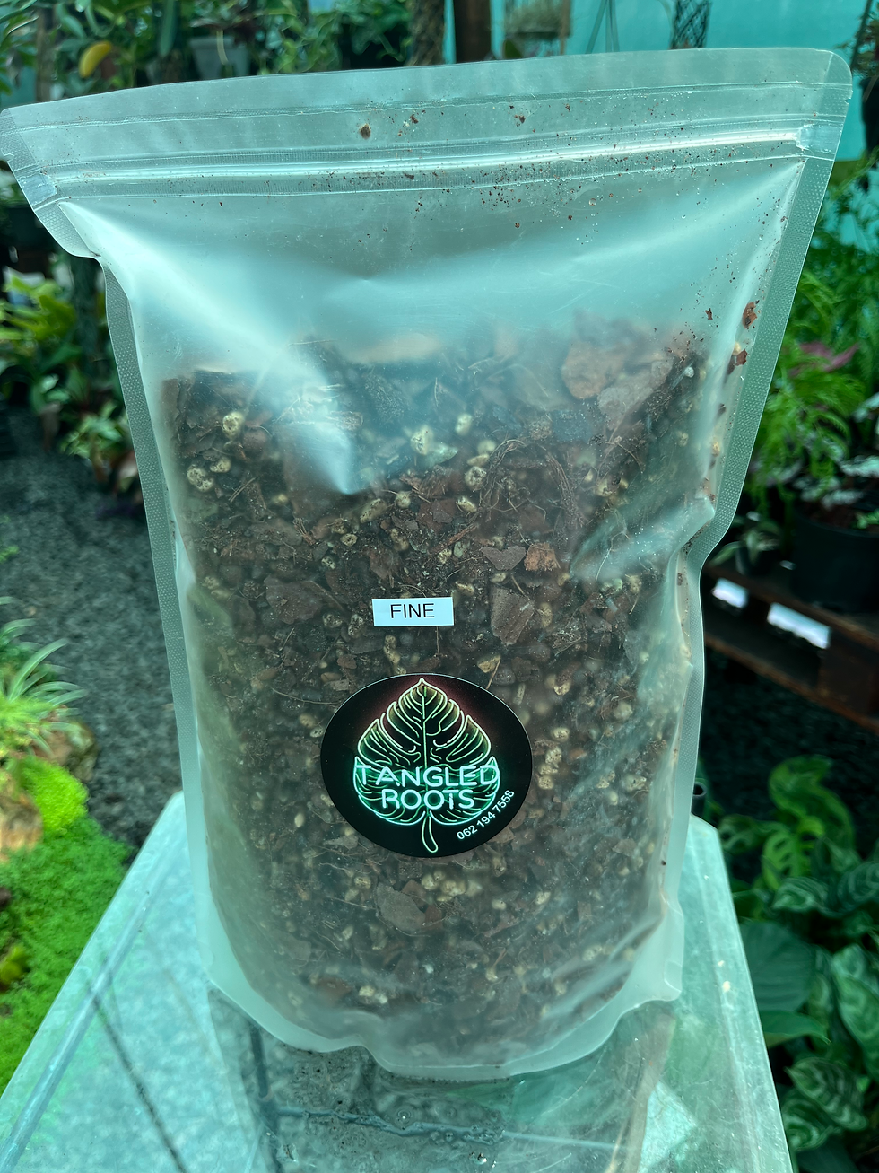 Aroid Soil Mix | 4L Bag