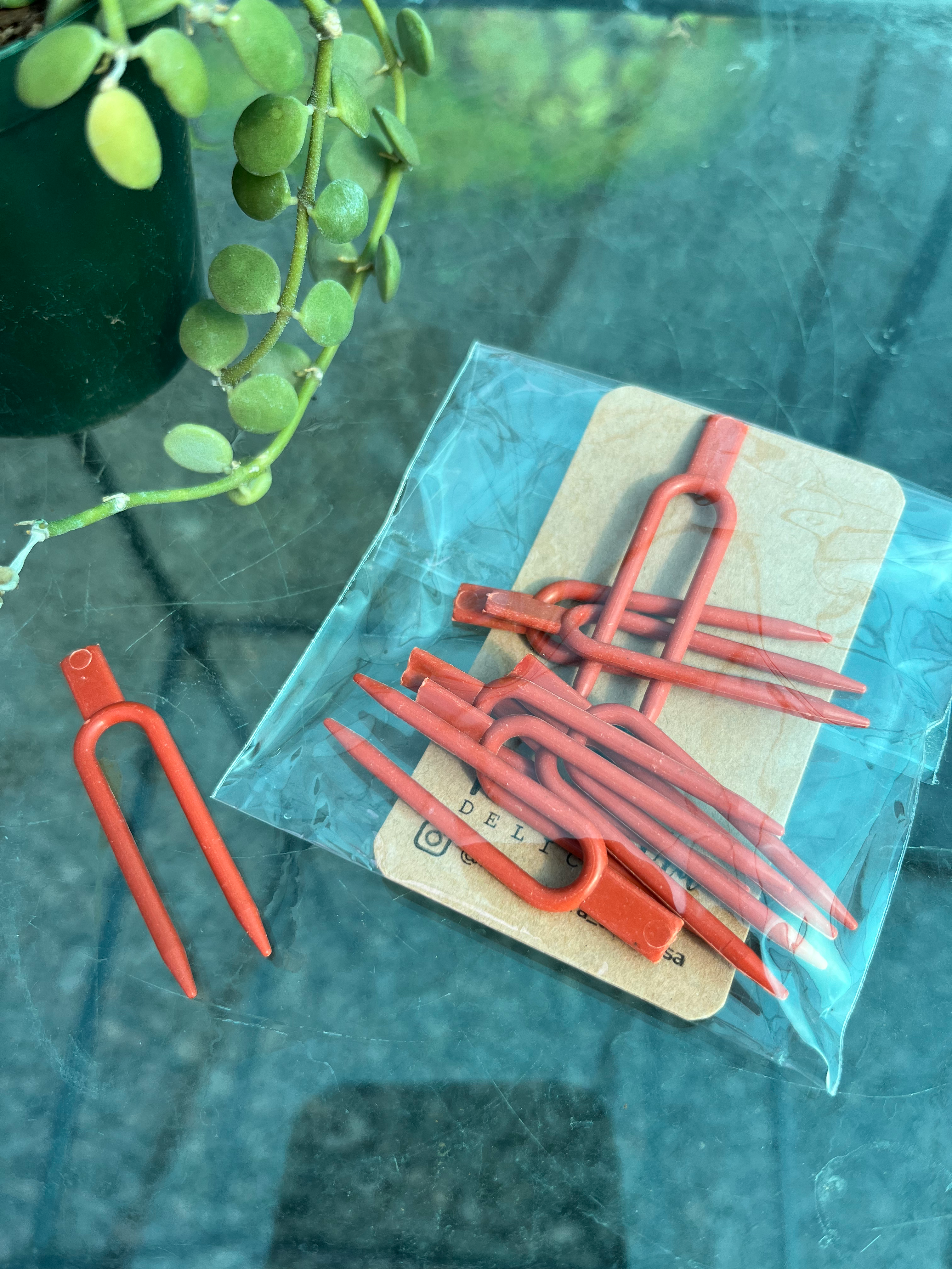 Plant Pegs