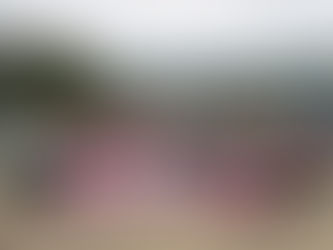 從嚴謹紀律到溫暖力量，驗船中心（CR）將 75 年的專業底蘊，化為一場長達數十年的永續旅程，不僅為地球種下綠意，更為員工種下身心健康的根基。