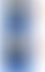 Типы икроножных мышц. 