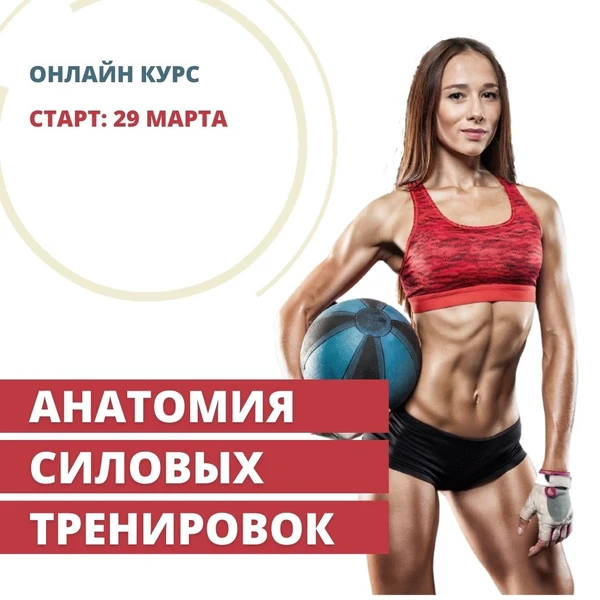 Фитнес курс спб