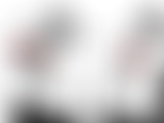 Приседания. Анатомия. 