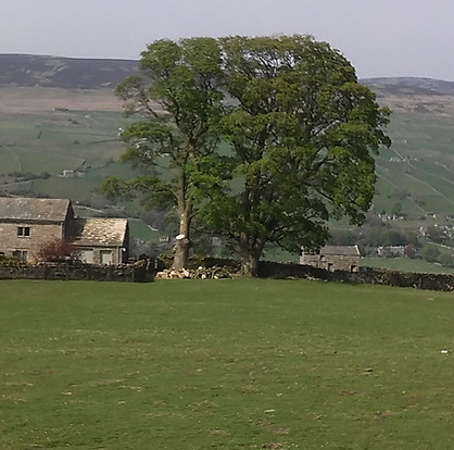 syc swaledale after.jpg