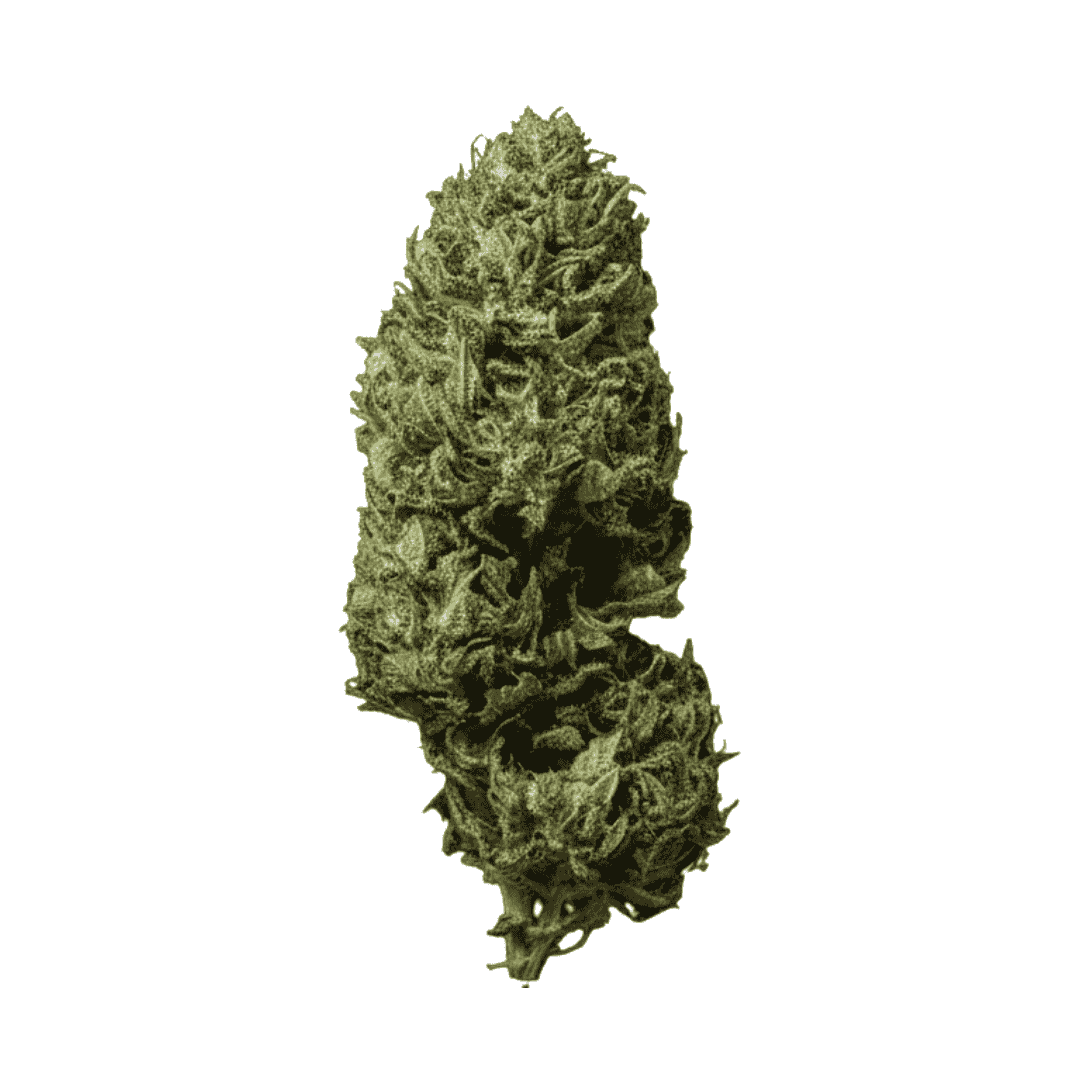 Fleur CBD - Green Snow