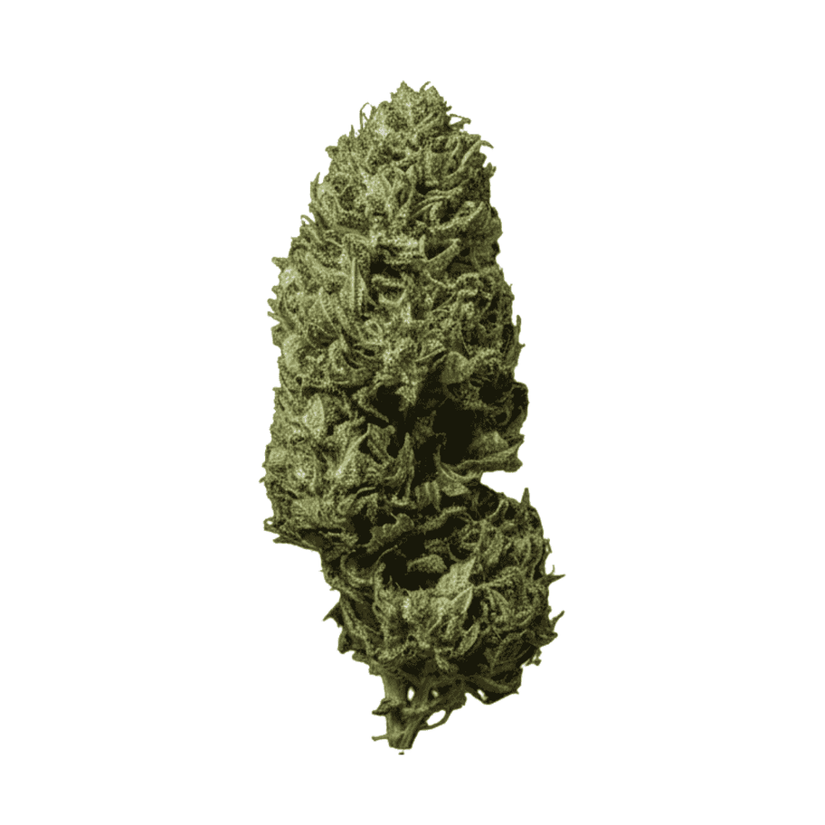 Fleur CBD - Skunk Jam G