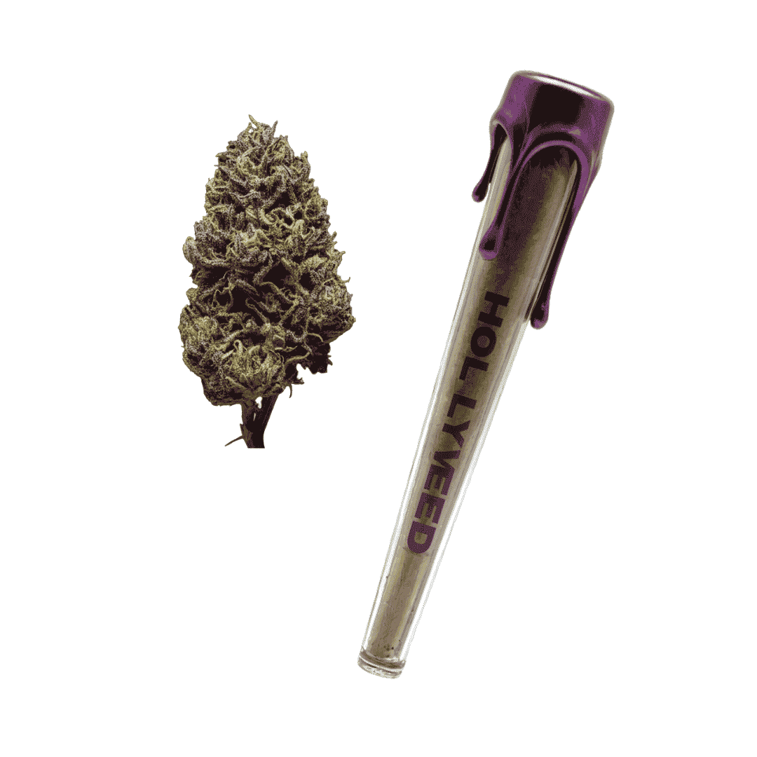 Pre-roll CBD Green Snow