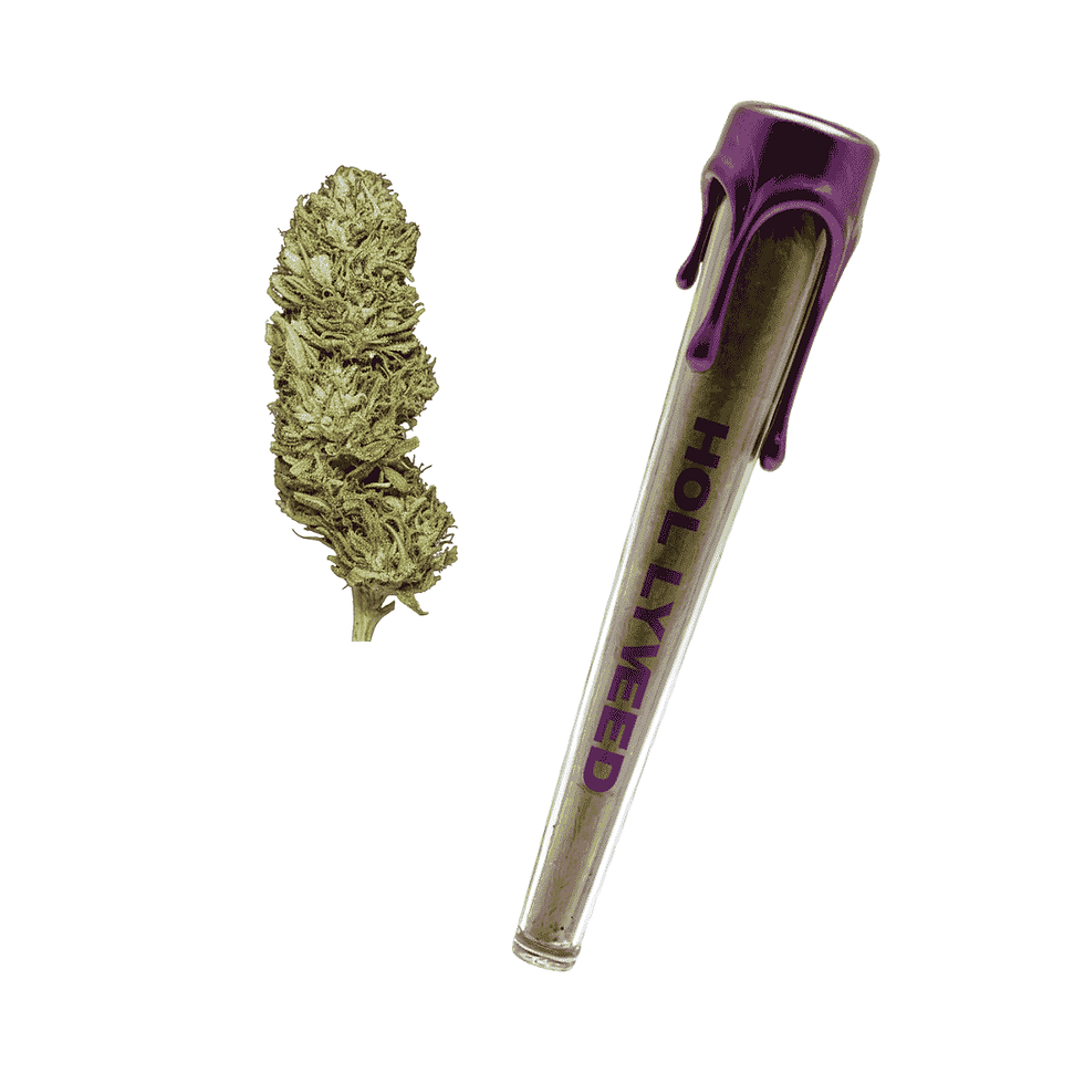 Pre-roll CBD raspberry hollyweed