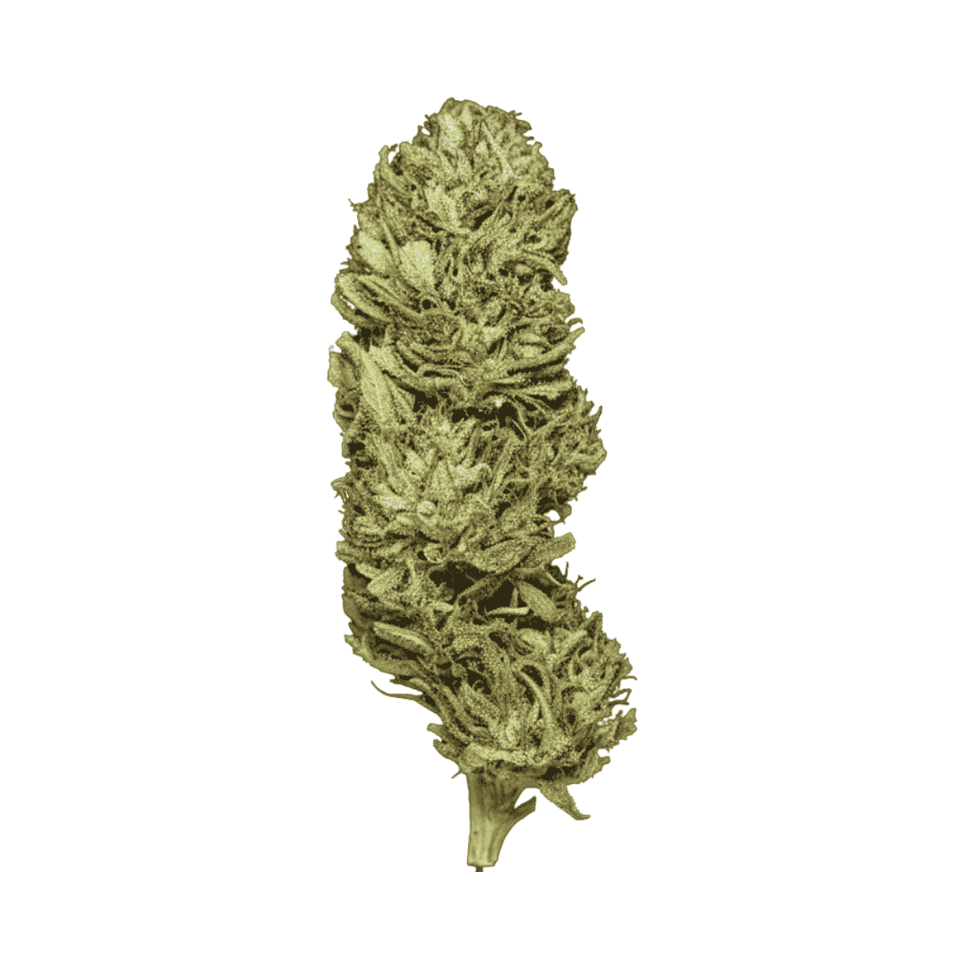 Fleur CBD - Skunk Jam G