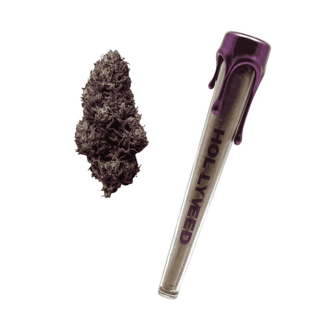 Pre-roll CBD Skunk Jam B