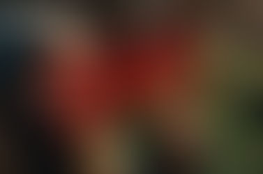 CBD et Anandamide : Une Solution Efficace pour un Sevrage au THC ?