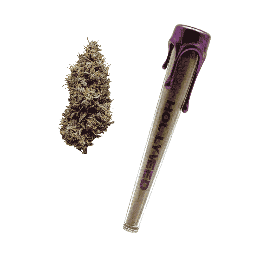 Pre-roll CBD Angel Cake Indoor