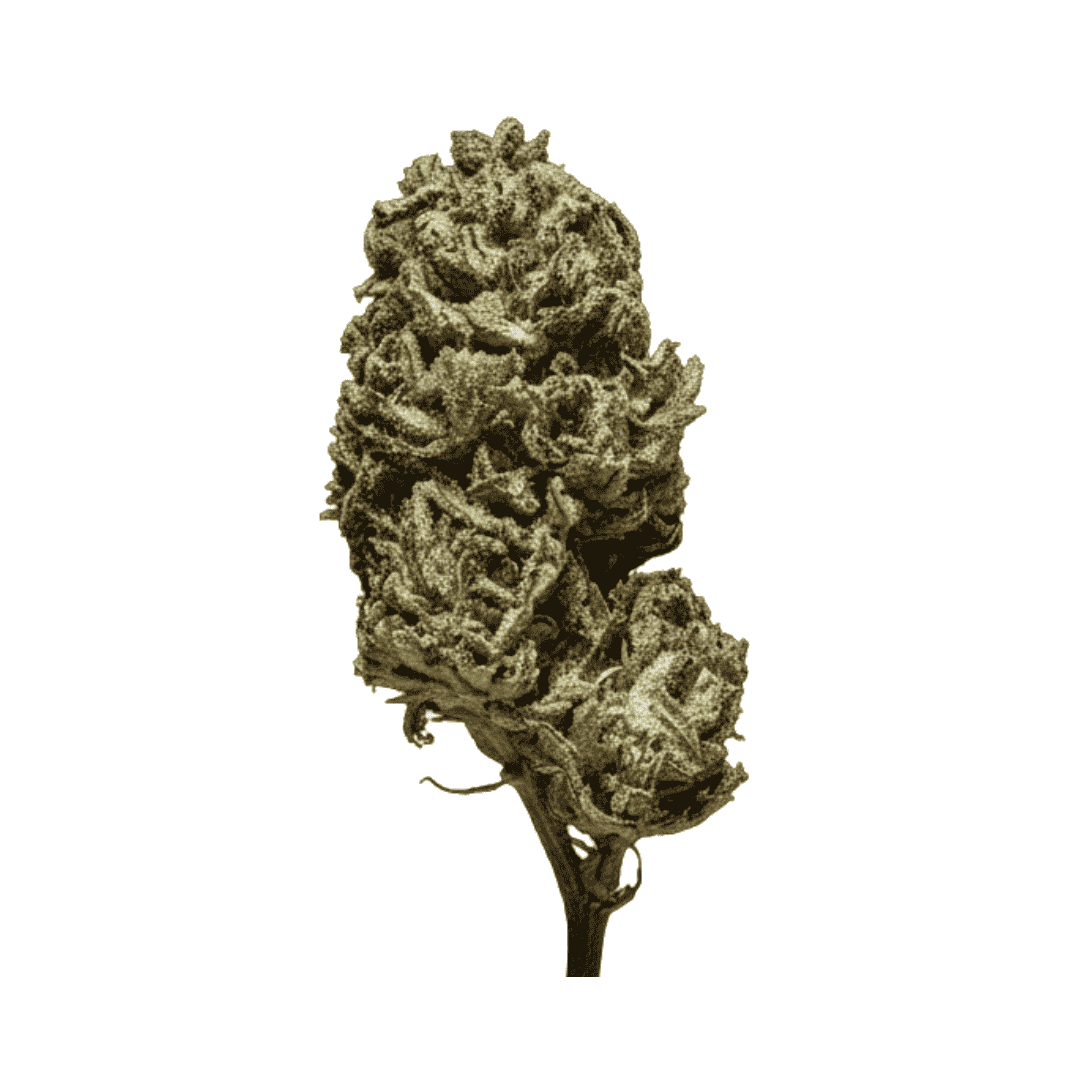 Fleur CBD - Strawberry