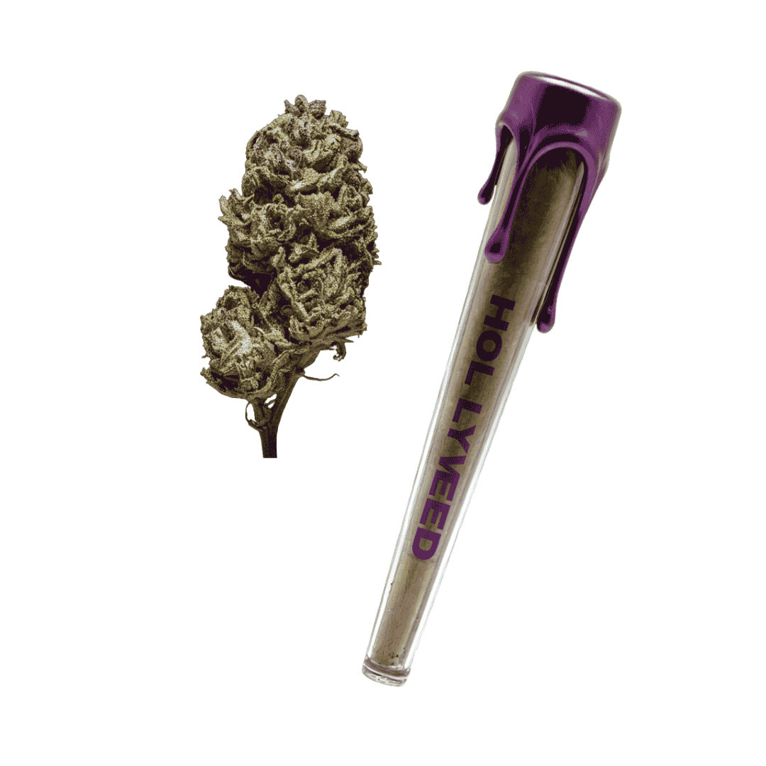 Pre-roll CBD Strawberry