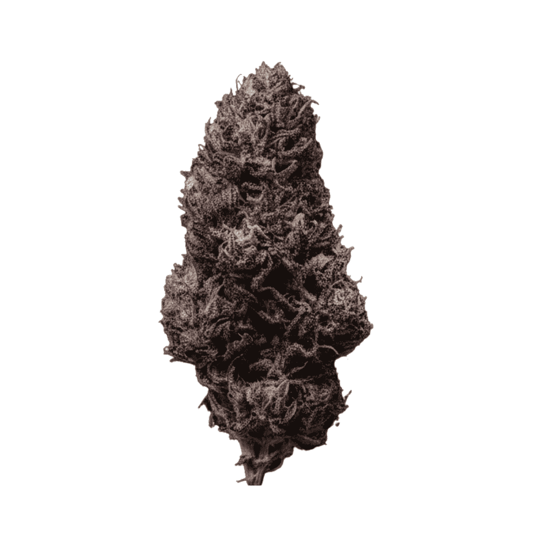 Fleur CBD - Skunk Jam B