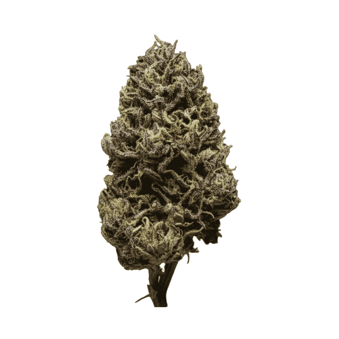 Fleur CBD - Puple Snow
