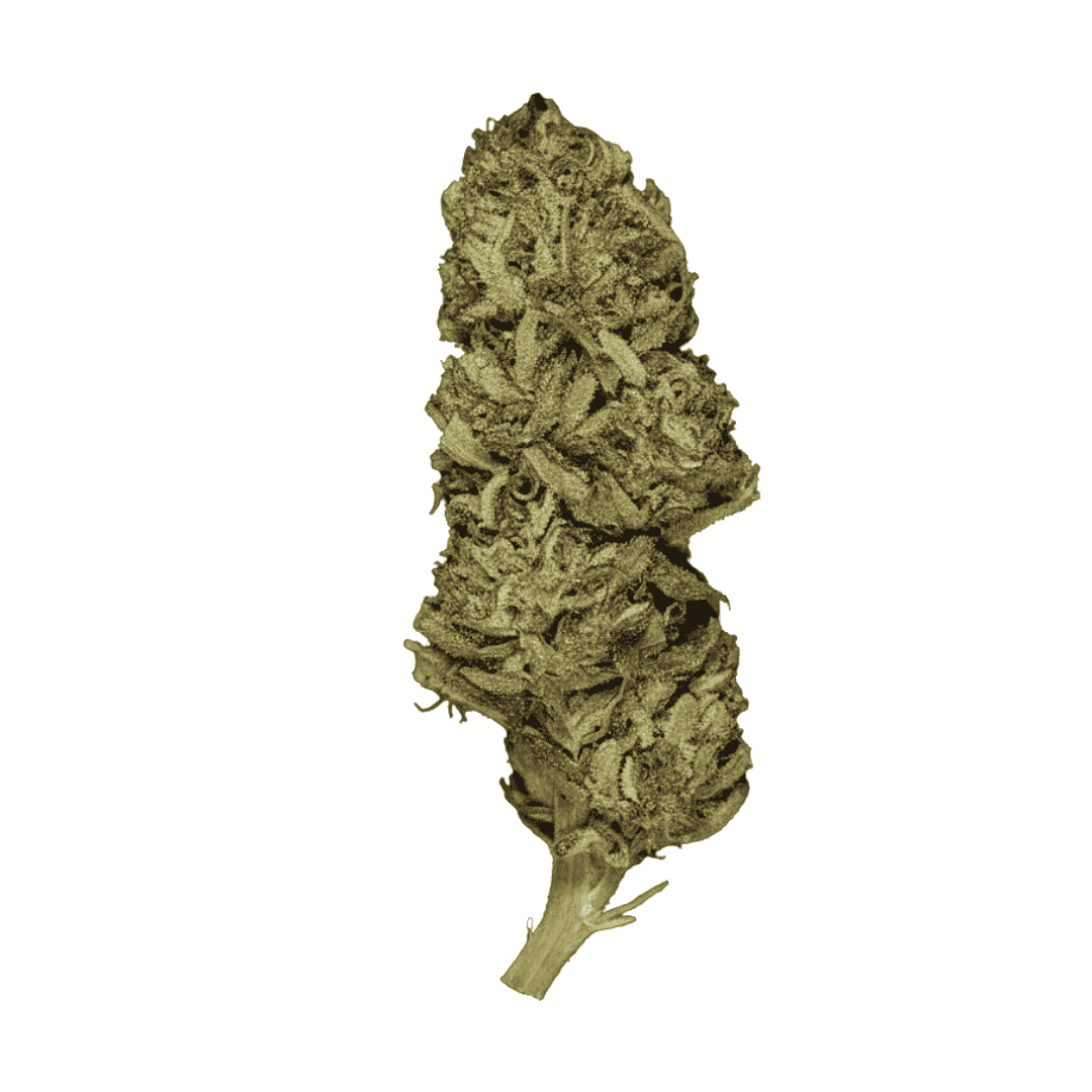 Fleur CBD - Raspberry