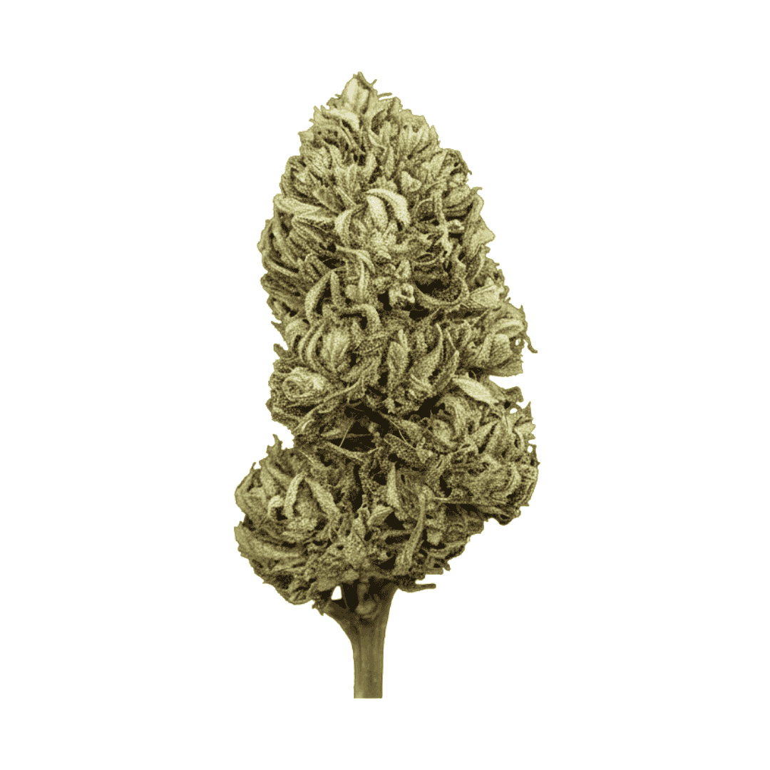 Fleur CBD - CBG Fruit