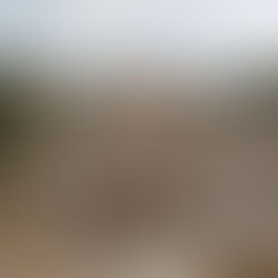 La ciudad de la majestuosidad y la tragedia por excelencia: Troya en Turquía