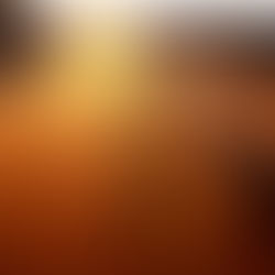 Namibia: Lugar de bestias y reyes.