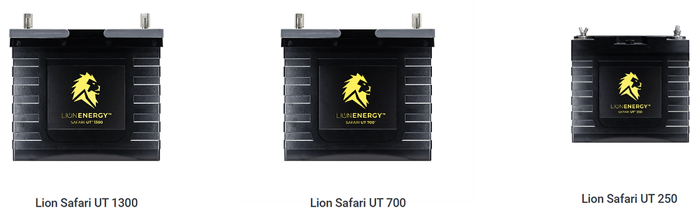 Lion Energy Battery