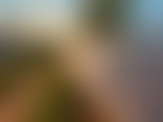 The energy U-turn of the International Energy Agency, IEA.