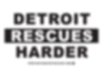 Thumbnail: Detroit Rescues Harder Tee