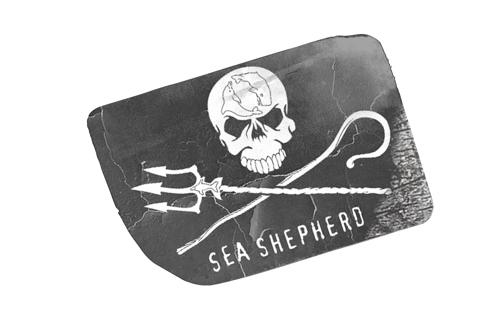 Writer: Archive- Sea shepherd UK