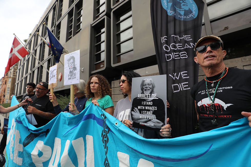 Paul Watson Arrest Ocean Conservation letter japan faroes