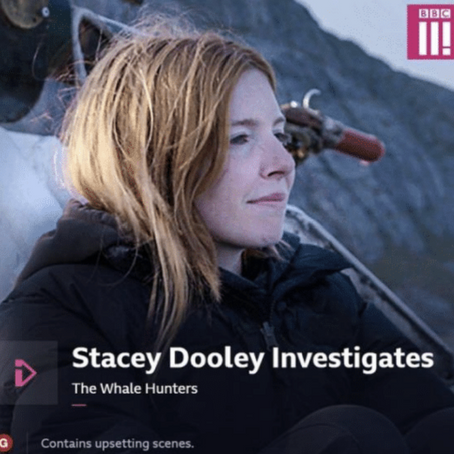 Stacey Dooley Meets Our Crew While Investigating Whaling in the Faroe Islands