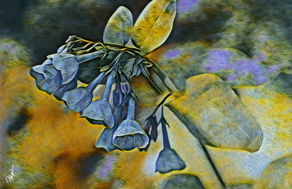 LR-22 March art show 17 x 11 metallic print saw-tooth hanger - Blue Memories copy