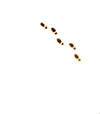 R.gif_rik=awOc34cSeN+ZKw&pid=ImgRaw&r=0.gif