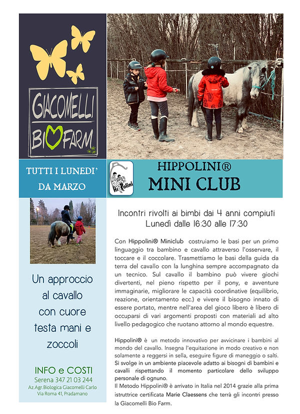 HIPPOLINI miniclub 2024.jpg