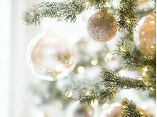 Conseils de NOEL Feng Shui