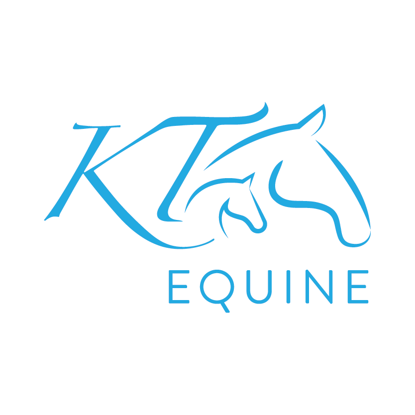 Welcome to the KT Equine Articles page, "Views from my office..."