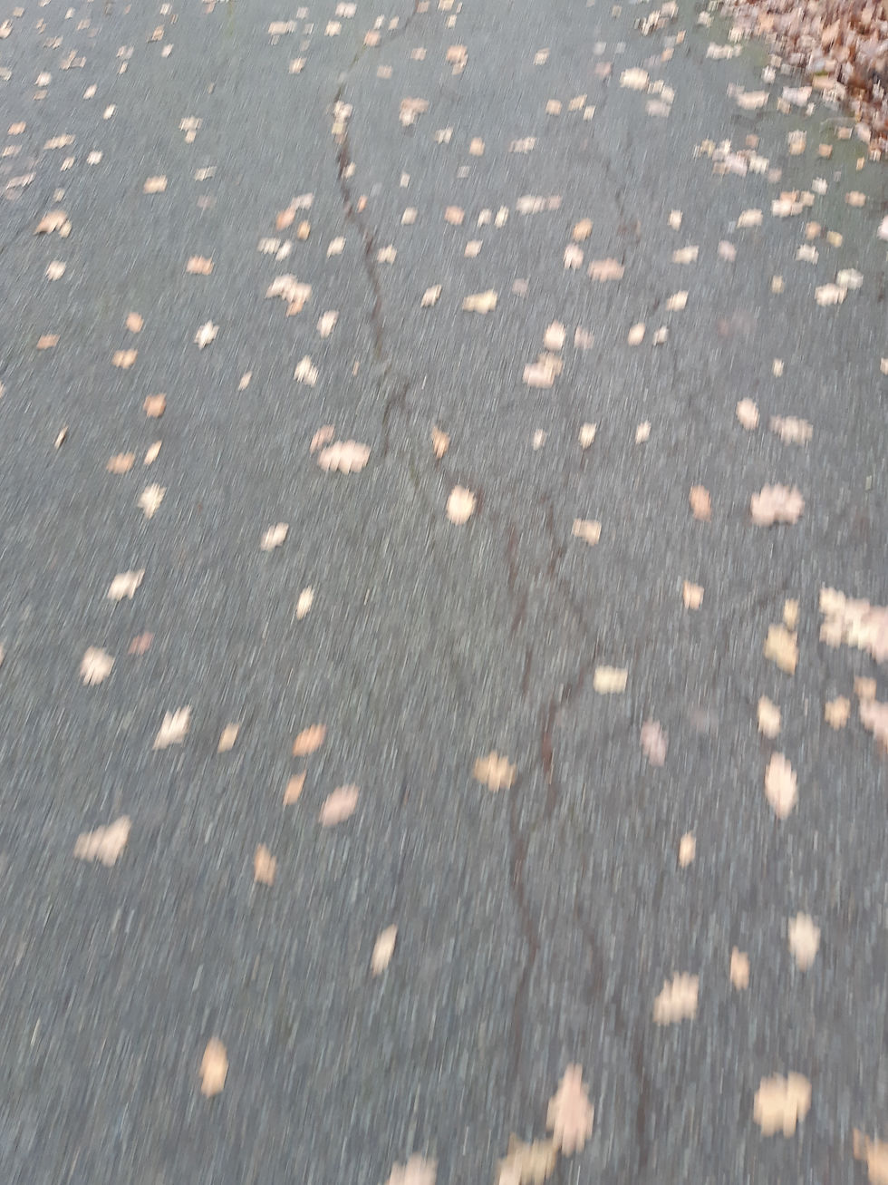20201213_145234.jpg
