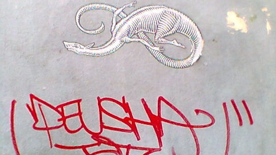 Cockroaches or worlds as images