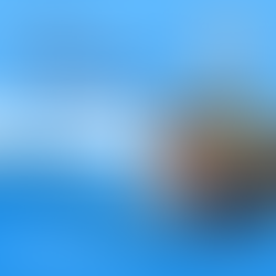 ¿Cómo Ser un Excelente Profesional de la Salud?