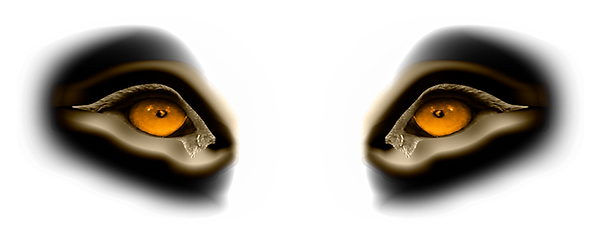 Eddyscap Magikal Visual Illusions