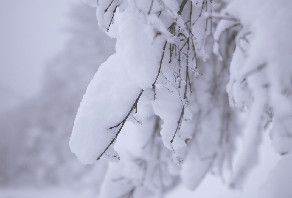 yuzawa_snow_03 (1).png