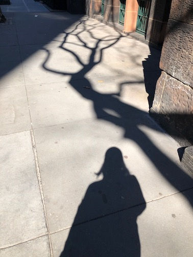 Greenwich village photography
