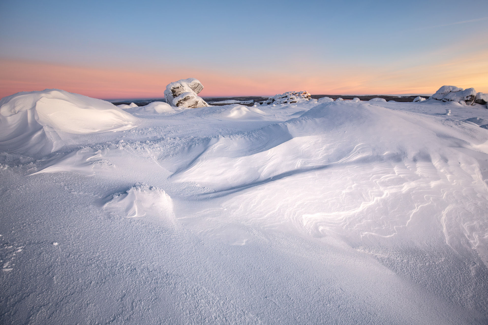 Antartica