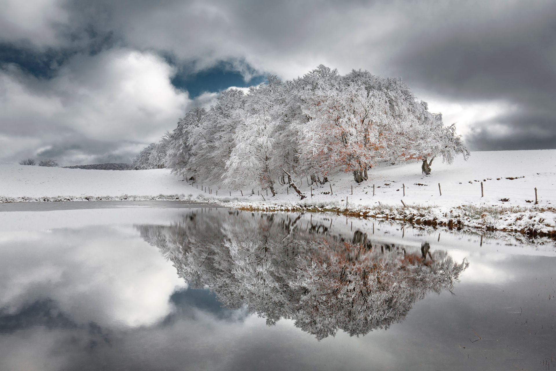 Miroir de tourbière