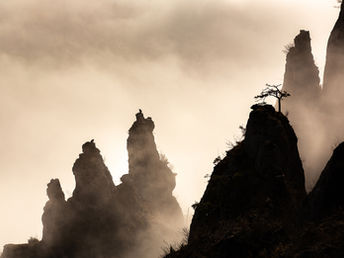 Paysages des Gorges de la Jonte