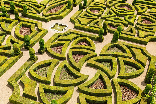 jardin-a-la-francaise.jpg