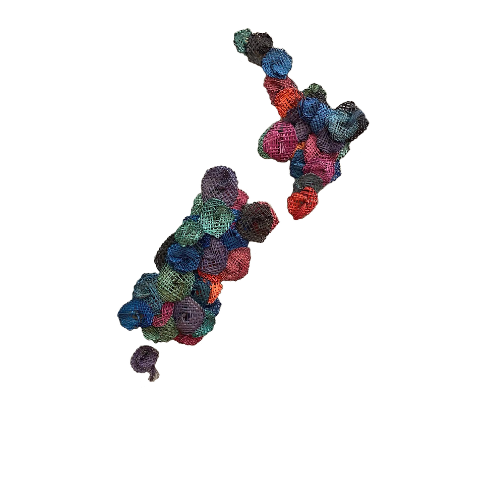 nz_edited