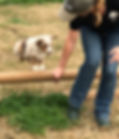 IMG_9960 (1).jpeg