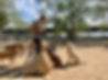 Yard Photo 2.jpg