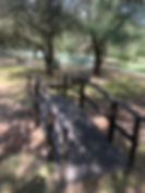 IMG_0456.jpeg