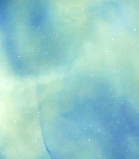 Website Design Backdrop_edited.jpg