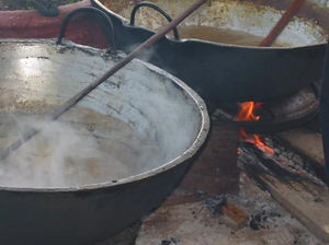 guyanapot.jpg